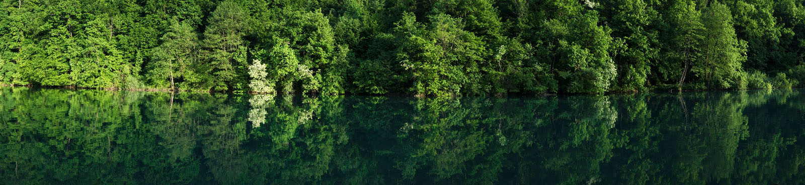 MREZNICA4 PANORAMA